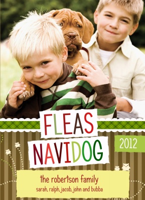 Personalized Holiday Cards, Holiday Puppy Love Design