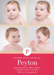 Holiday Baby Announcements - Sunny Windows