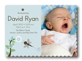 Baby Announcement for Boys - Little Dragonfly