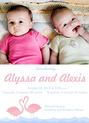 Twin Birth Announcements, Double Pink Flamingos Design