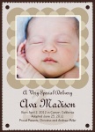Photo Adoption Announcements - Special Arrival