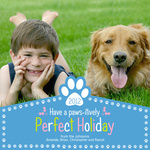 Paws for the Holiday