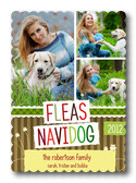 Three Navidogs