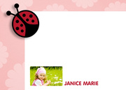 Rosey Ladybug