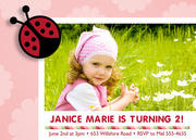 Rosey Ladybug