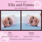 Double Daisy Bouquet - Twin Birth Announcement Cards 