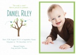 Special Baby Bird's Nest -  Adoption Announcement Cards