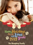Bones & Bows - Dog Christmas Cards 