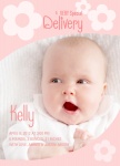 Special French Rose - Adoption Cards 