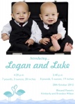 Double Blue Flamingos - Twin Birth Announcement Cards 