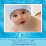 Special Bubbling Stars - Adoption Cards 