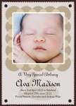 Special Arrival -  Adoption Announcement Cards