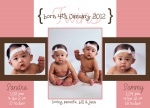 Pink French Windows -  Twin Birth Announcements