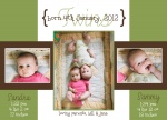Green French Windows - Twin Birth Announcement Cards 