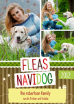 Three Navidogs - Dog Christmas Cards 