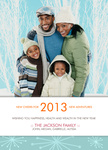 New Years Cheers -  Happy New Year Cards 