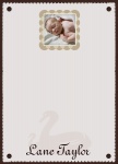 Baby's Memory Book
