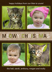 Best Friends Holiday - Dog Christmas Cards 