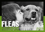 #1 Holiday Friend - Dog Christmas Cards 