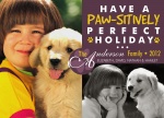 Purple Paws - Dog Christmas Cards 