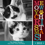 Bright Paw Prints -  Cat Christmas Cards 