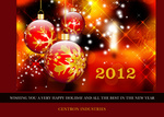 Vermillion Arrangement - Company Christmas Cards
