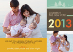 Pastoral Pastel -  Happy New Year Cards 