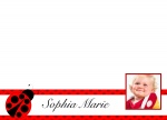 Lady Bug Love