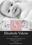 Rose Bud Blush -  Adoption Announcement Cards