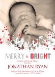 Berries & Boughs - Holiday Birth Announcement Cards 
