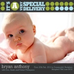 Special Sparkling Stoplights - Adoption Cards 
