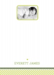 Green Apple Love - Baby Boy Thank You Photo Cards