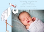 Stork Love