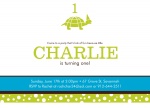 Turtle Fun