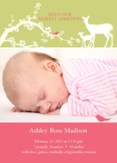 Nature's Sweetest - Baby Girl Announcements