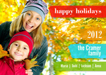 Vivid Holidays