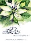 White Poinsettias