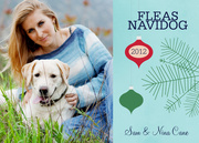 Dog Christmas Cards - Take a Bough