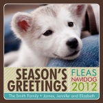 The Star Season -  Cat Christmas Cards 