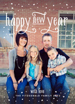 Family Flurries - New Year Cards 