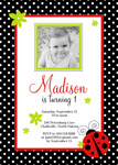 Ladybug Frame