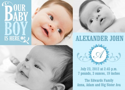 Birth Announcements, Daisy Do Blue Design