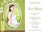 Opulent Orchids