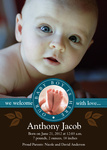 Baby Beauty Blue