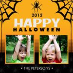 Sweet Lil' Spider