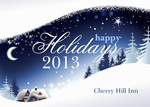 Holiday Snow