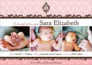 Baby Girl Announcements - Baroque Baby Announcements