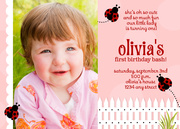 Ladybug Girl Birthday Invitations - Girl Birthday Invitations
