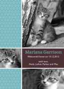  Pet Photo Cards - Cat Paw