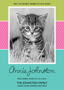  Pet Photo Cards - Sweet Cat
